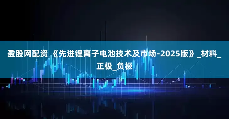盈股网配资 《先进锂离子电池技术及市场-2025版》_材料_正极_负极