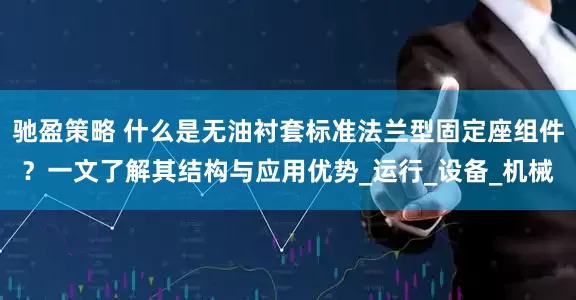驰盈策略 什么是无油衬套标准法兰型固定座组件？一文了解其结构与应用优势_运行_设备_机械