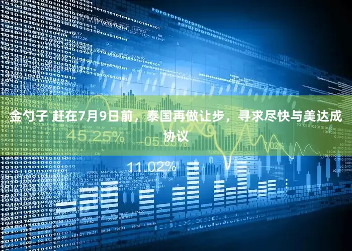 金勺子 赶在7月9日前，泰国再做让步，寻求尽快与美达成协议