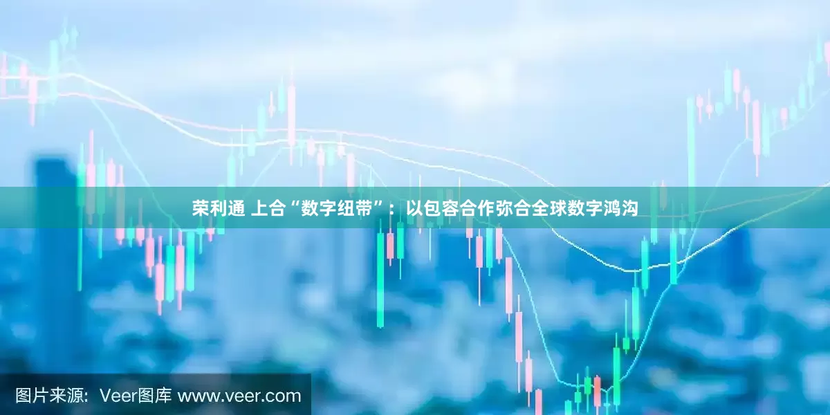荣利通 上合“数字纽带”：以包容合作弥合全球数字鸿沟