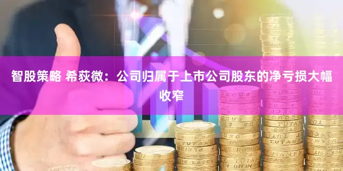 智股策略 希荻微：公司归属于上市公司股东的净亏损大幅收窄